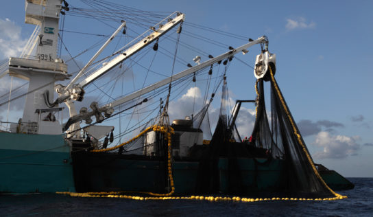 Mobilisation – Non à la réintroduction de subventions néfastes dans la pêche