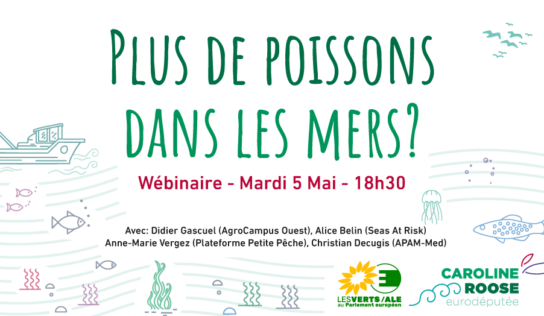 Wébinaire « Plus de Poissons dans les mers »