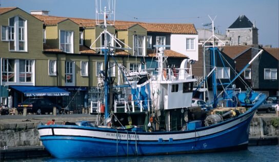 Secteur de la Pêche & Covid-19 : résoudre la crise, penser la pêche de demain