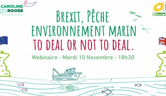 [Invitation Webinaire] Brexit, pêche et environnement : to deal or not to deal.