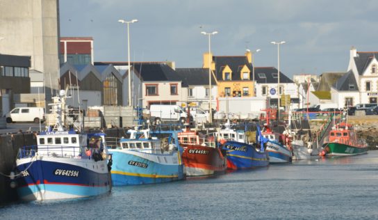 La révision du règlement de contrôle des pêches, un enjeu de taille pour une pêche durable et juste