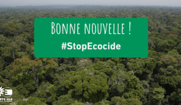 La commission du développement adopte mon rapport sur la responsabilité des entreprises pour dommages environnementaux