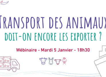 Webinaire – « Transport des animaux : doit-on encore les exporter ? »