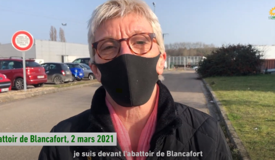 Transport des dindes : A l’abattoir de Blancafort avec L214 (Vidéo)