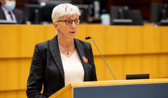 Thon rouge : le Parlement européen durcit le ton pour une répartition plus juste des quotas