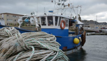 Évaluation de la politique commune de la pêche : mes propositions reprises par la Commission