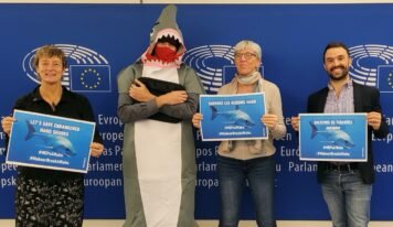 Mobilisation au Parlement : pour sauver les requins mako, l’UE doit aller plus loin