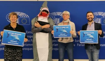 Mobilisation au Parlement : pour sauver les requins mako, l’UE doit aller plus loin