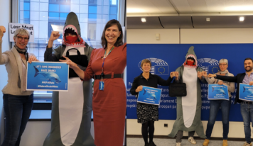 Bonne nouvelle! Les requins makos bénéficient d’un sursis jusqu’en 2024