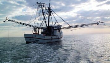 Accord de pêche UE-Gabon&nbsp;: préoccupant pour les écosystèmes marins et les communautés côtières