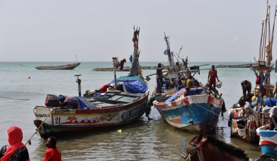 Mission au Sénégal : mise en œuvre de l’accord de pêche et échanges avec les communautés de pêche artisanales victimes de la surpêche