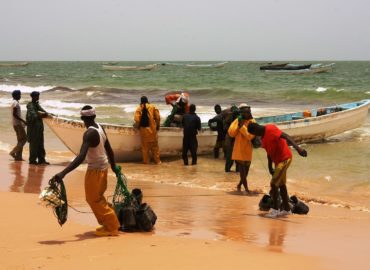 Accord de Pêche UE-Mauritanie: il faut stopper la surpêche liée à la production des farines de poissons !