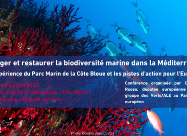 Évènement : Protéger et restaurer la biodiversité marine dans la Méditerranée: l’exemple du Parc Marin de la Côte Bleue