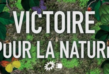 Victoire : Le Parlement européen adopte le texte final de la Loi sur la Restauration de la Nature !