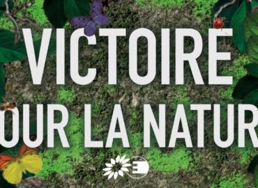 Victoire : Le Parlement européen adopte le texte final de la Loi sur la Restauration de la Nature !